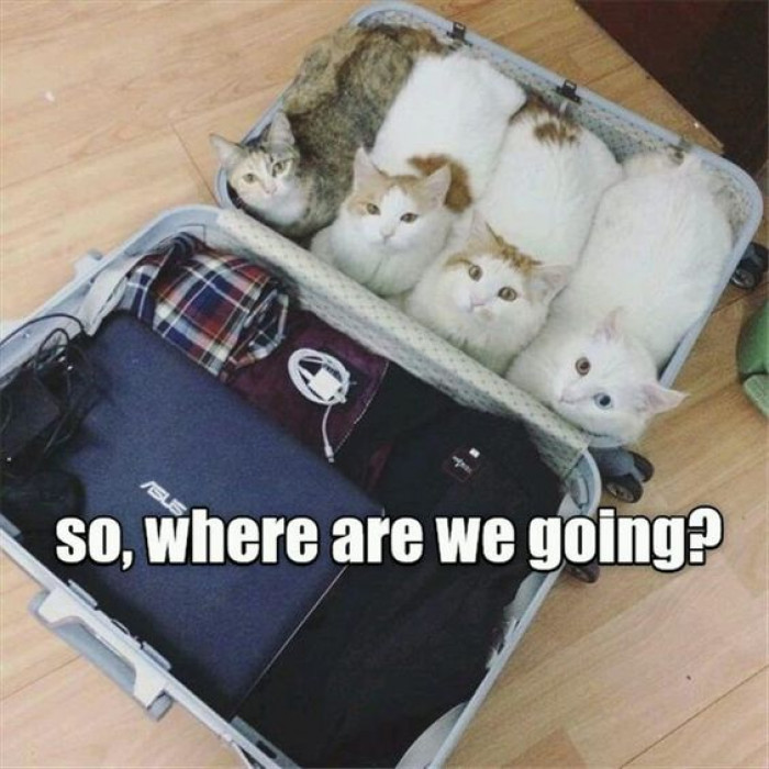 So Where Are We Going?