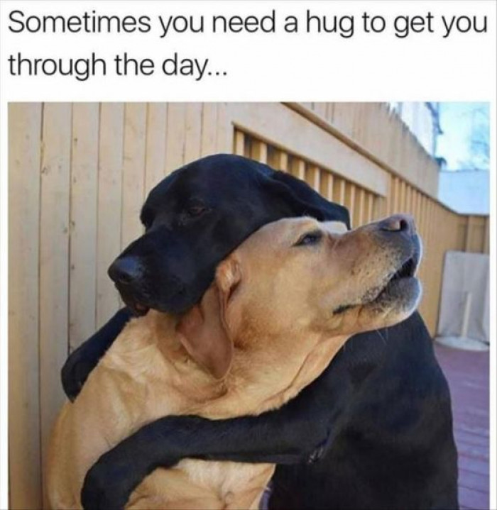 Sometimes You Just Need A Hug