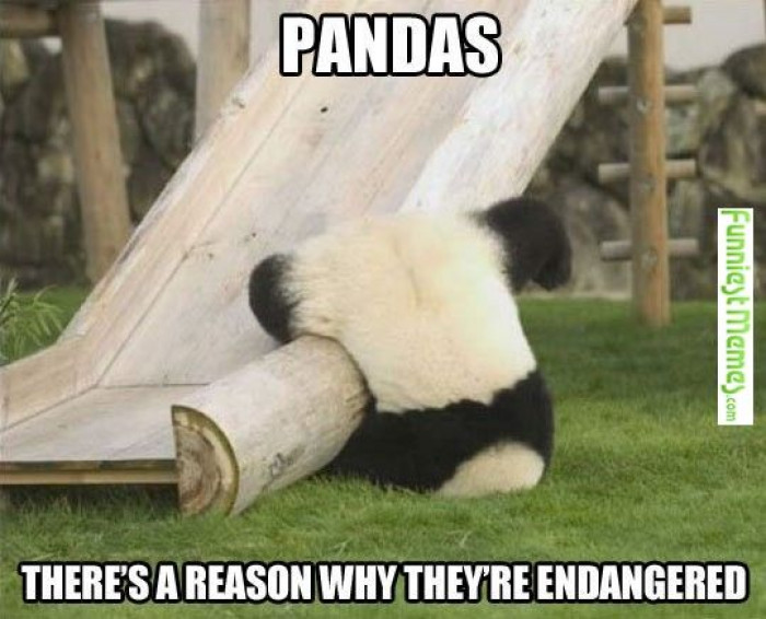 stupid pandas :)