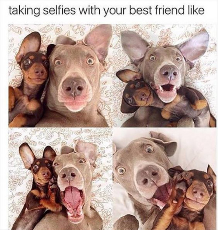 Taking Selfies With Your Bestie Like...