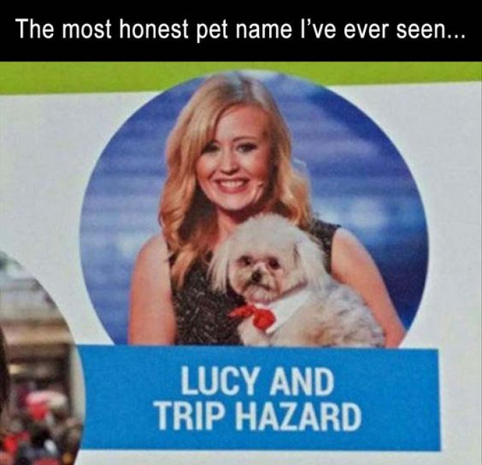 The Most Honest Pet Name Ever