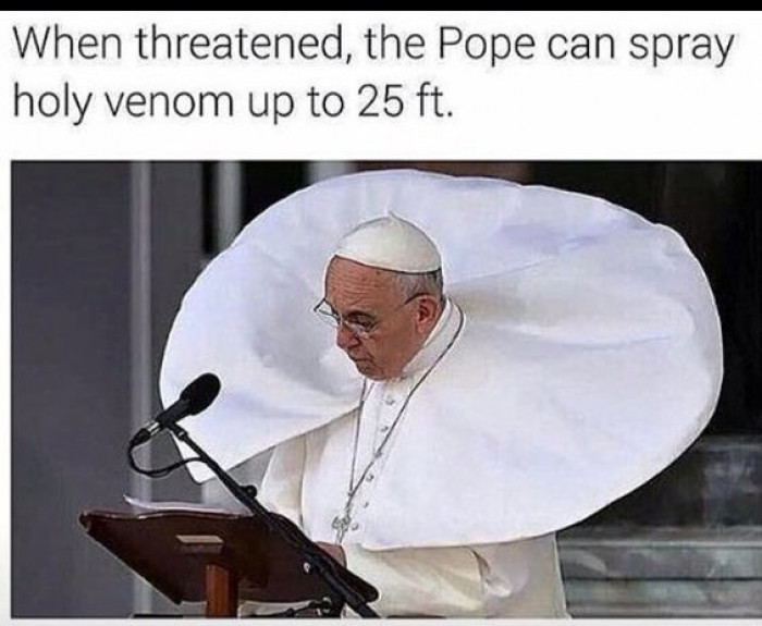 The Pope And His Holy Venom
