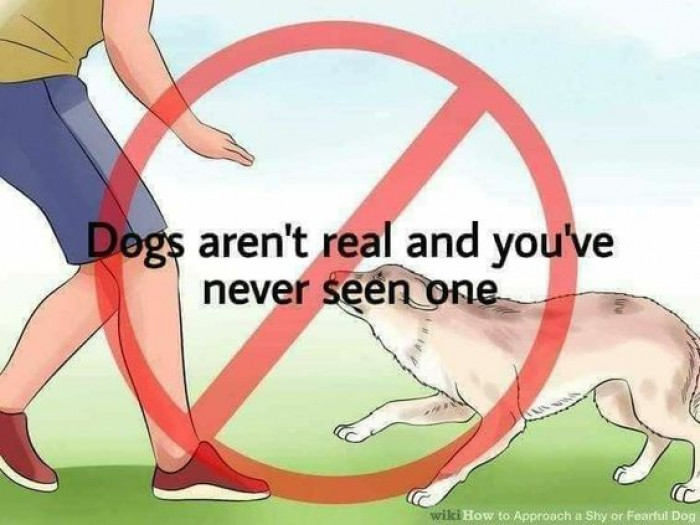 they aren't real