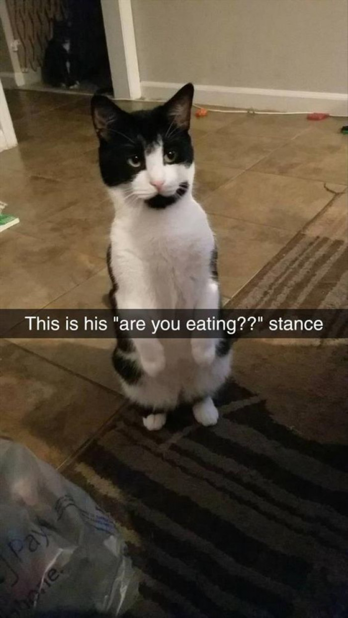 This Is His Are You Eating Stance