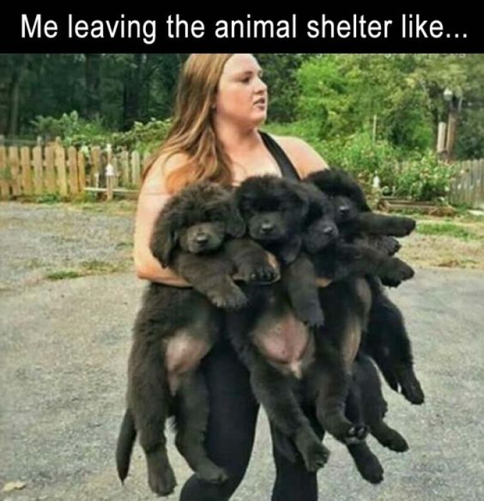This Is Why My Boyfriend Won't Take Me To The Shelter...