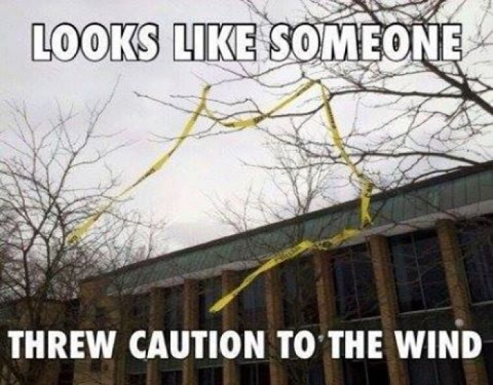 Throwing Caution To The Wind...