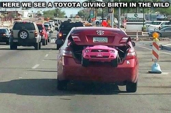 Toyota giving birth
