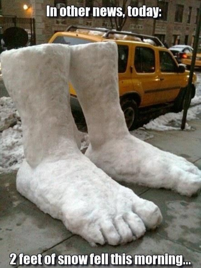 Two Feet Of Snow Fell Today...