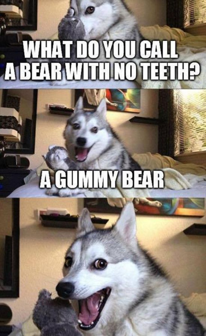 What Do You Call A Bear With No Teeth?