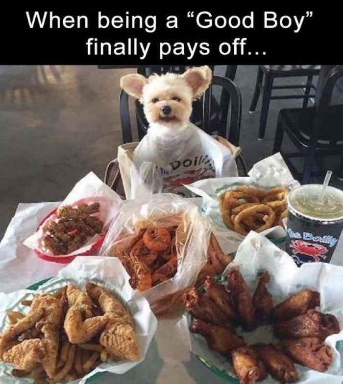 When Being A Good Boy Finally Pays Off