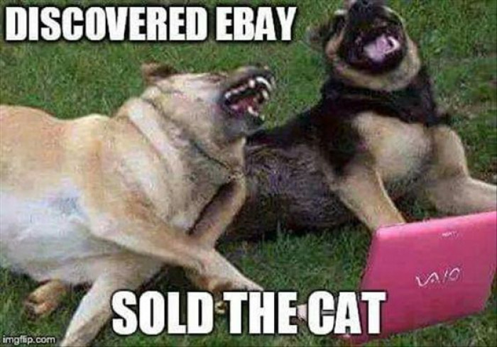 When You Discover Ebay...