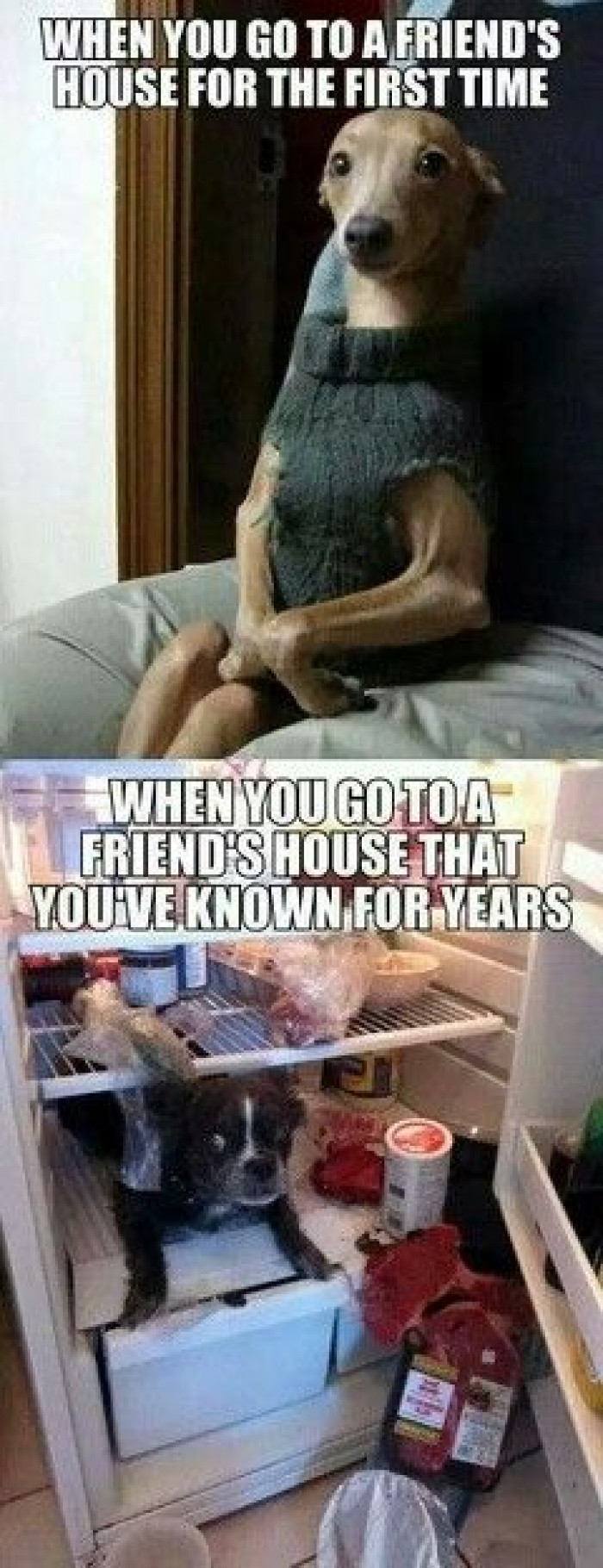 When You Go To A Friend's House...