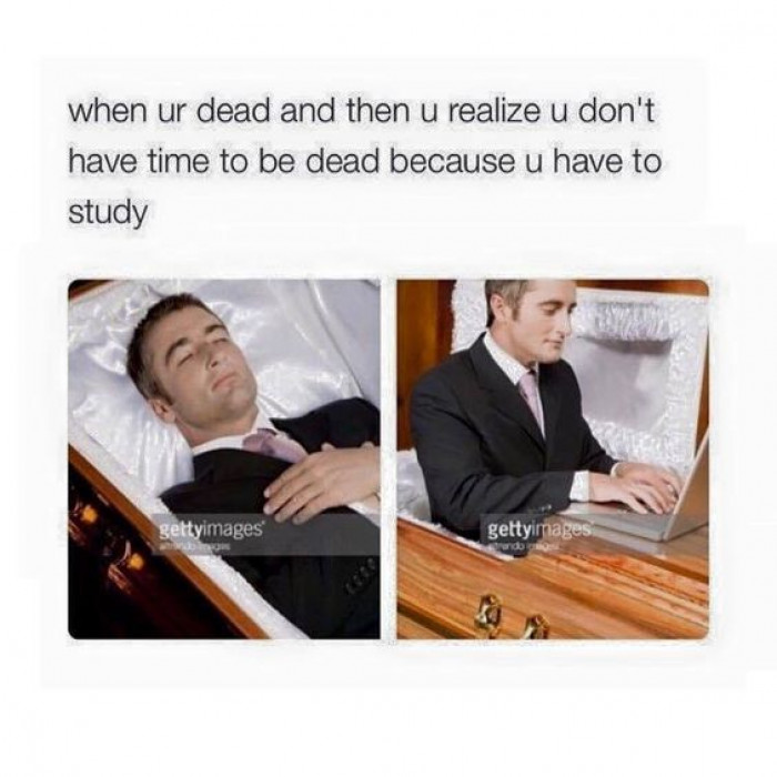 When You're Dead But You Realise You Don't Have Time To Be