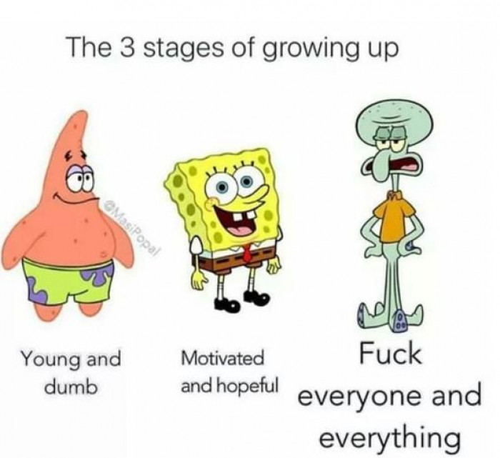 which stage are you in?