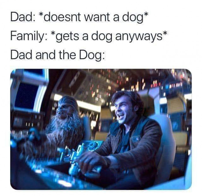 All Dads And Their Dogs