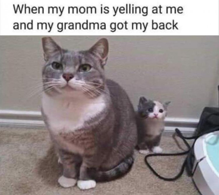 Grandma Got My Back