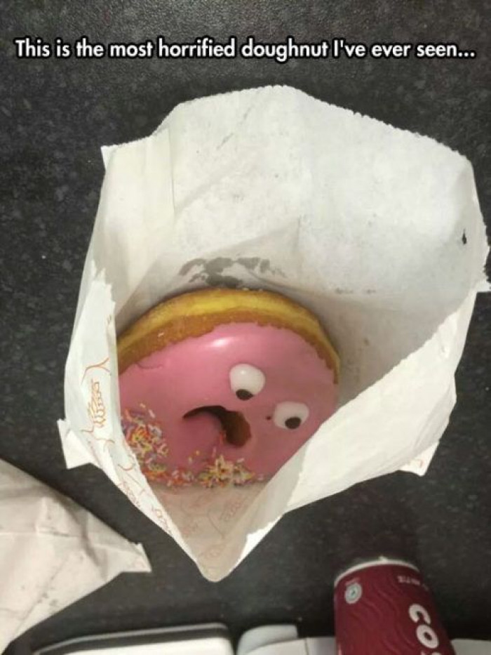 That Is One Horrified Doughnut