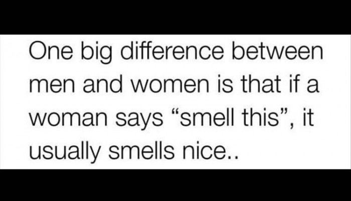 The Difference Between Men And Women