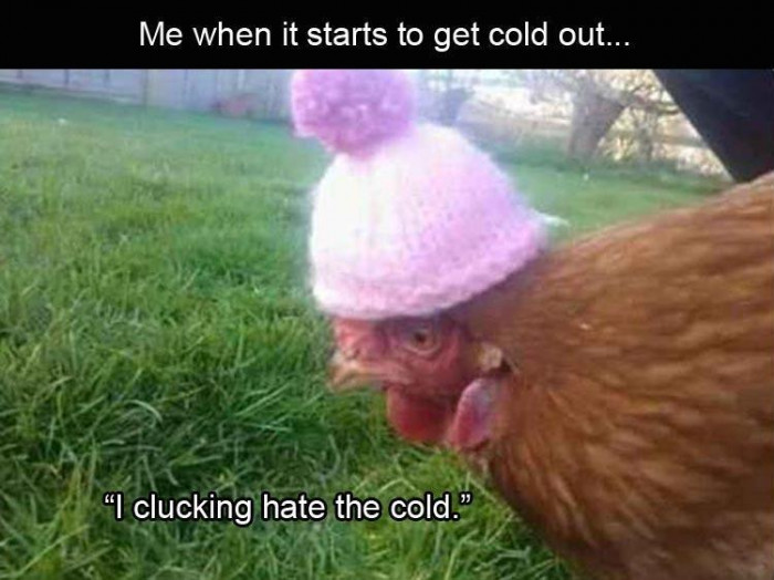 When It Starts To Get Cold
