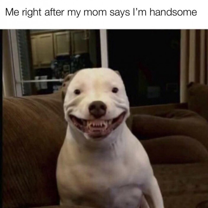 When Mom Calls Me Handsome