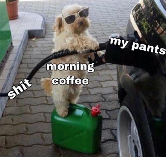 When The Morning Coffee Kicks In