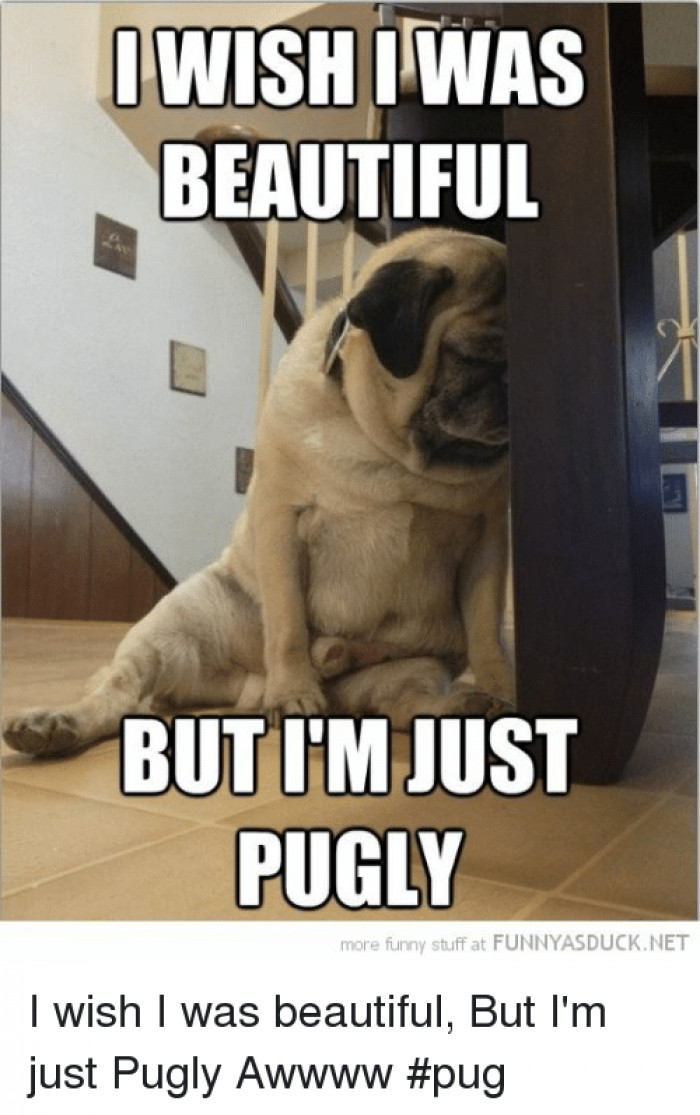 When You're Just Pugly