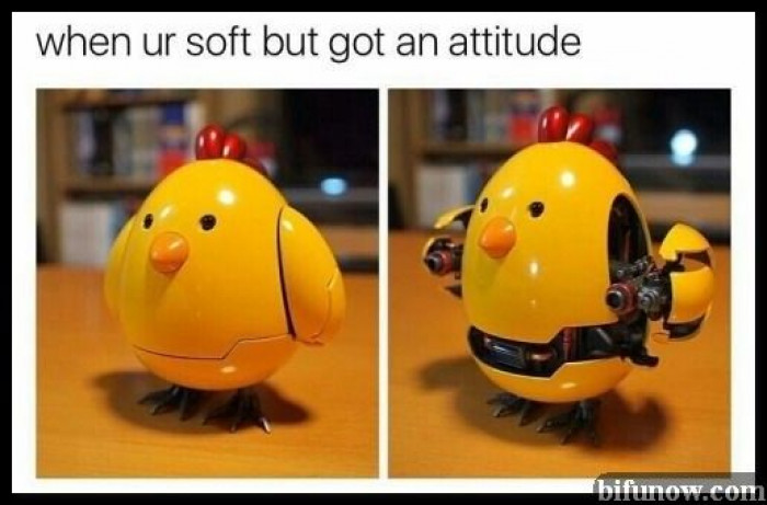 When You're Soft But Have Attitude