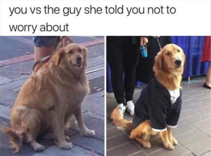 You Vs The Other Guy