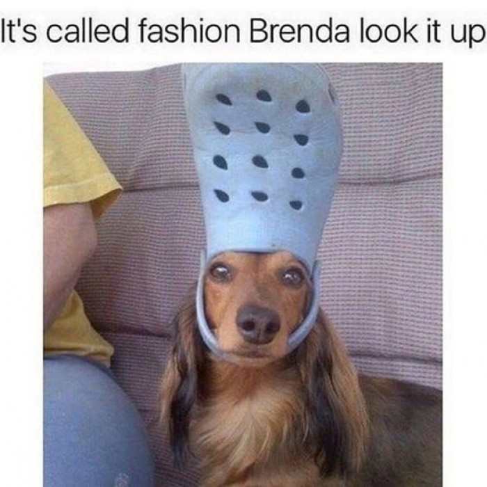 It's Called Fashion Brenda!
