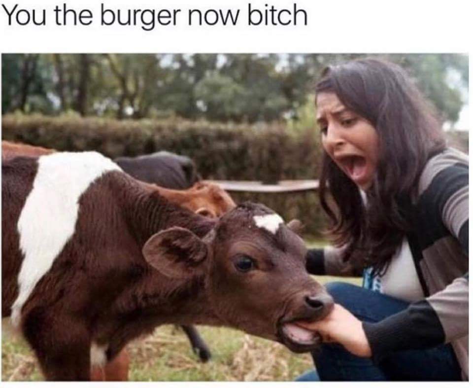 You the burger now, bitch