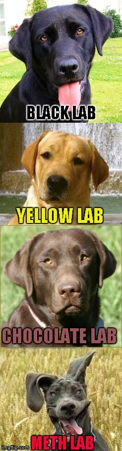 Labs explained