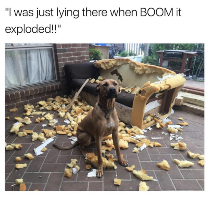 I was just sitting there and it exploded! 