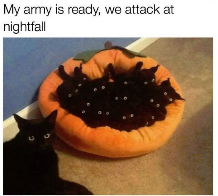 My Army Is Ready