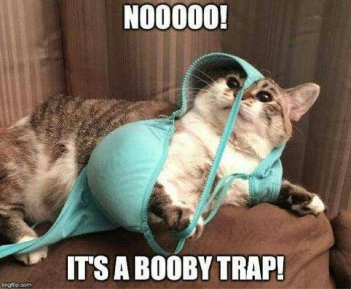 Noooo! It's A Booby Trap