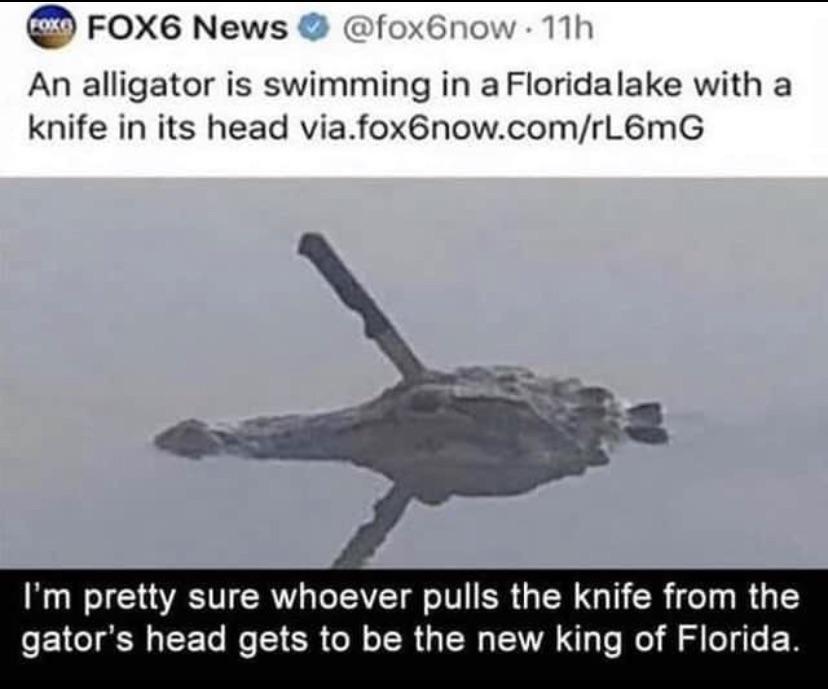 Florida man king