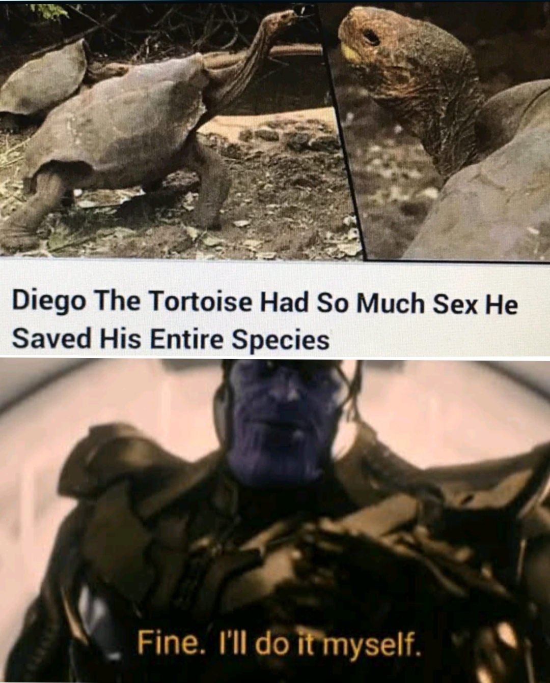 Carefully, he’s a hero