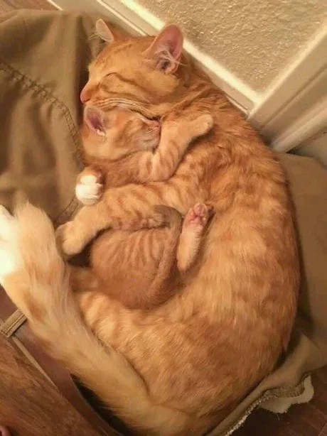 Mother and baby