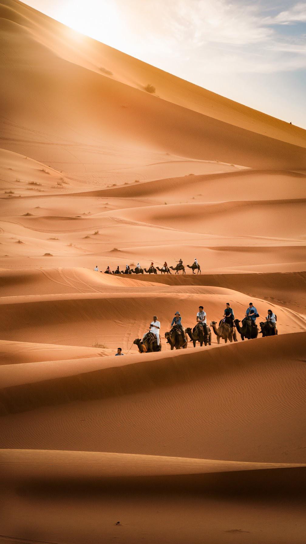 My trip to the Sahara desert
