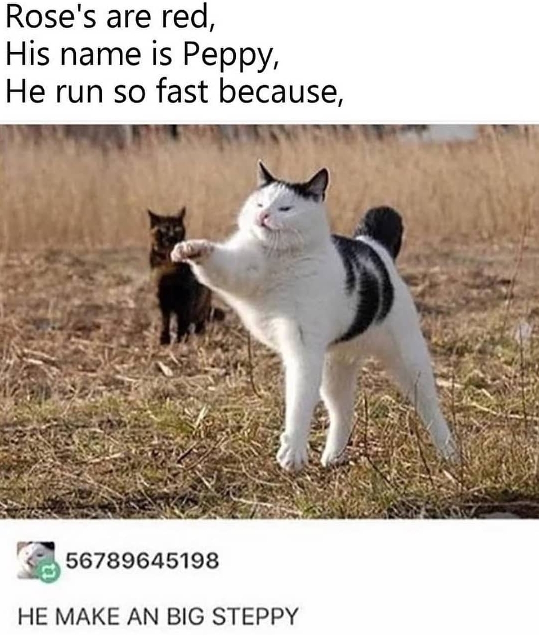 He run so fast