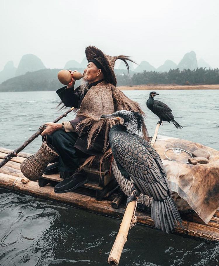Cormorant fisherman in Yangshuo, China