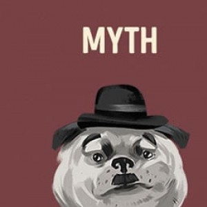 12 Animal Myths That We Still Believe