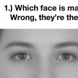 16 Incredible Optical Illusions That Will Melt Your Mind