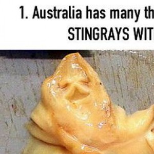 20 Photos That Prove Australia Is The Most WTF Place On Earth