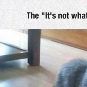 26 Photos That Will Make You Rethink To Get A Pet