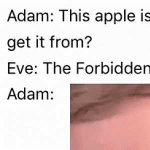 Adam: where did you get this fruit from?