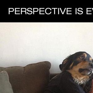 All about perspective