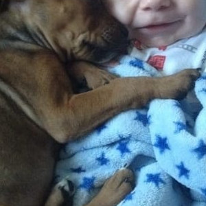 Baby And Puppy Alliance 