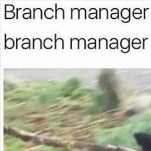 Branch Manager And His Assistant