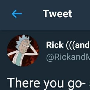 Elon Musk Is Talking To Rick On Twitter, We Just Lost Our Shit