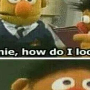 Ernie And Bert